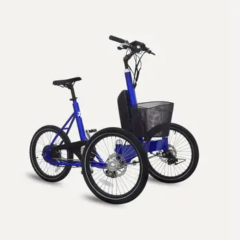 Трехколесный электрический грузовой велосипед мощностью 250 Вт для семейного использования UB9021E